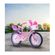 imageUrl_2