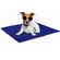 imageUrl_5
