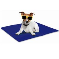 Manta Gel Refrescante Para Mascota Pet Cool Mat - Talla XXL