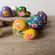 imageUrl_5