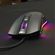 imageUrl_4