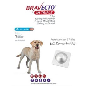 image-fb6111848b784fdf82c7a2ddc195e6a3