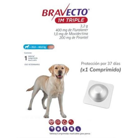 image-fb6111848b784fdf82c7a2ddc195e6a3 image-fb6111848b784fdf82c7a2ddc195e6a3