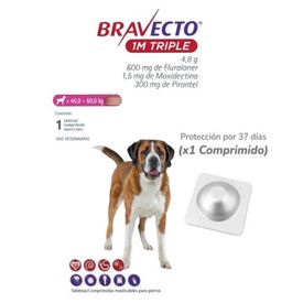 image-5ccca9fa43a640349370b65bc943eaa4