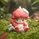 imageUrl_3
