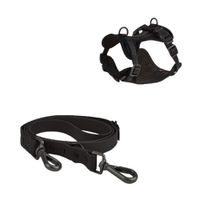 Correa y Pechera Ajustable Para Perros Negro - Talla M