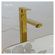 imageUrl_4