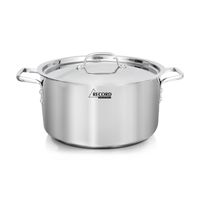 Olla de Cocina Professional Inox Record 22 cm