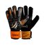 imageUrl_1