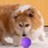 image-9336c7835da04779afe9d46db16ab022