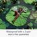 image-dea1f82a71fc45c4b713fbf07b167ba9