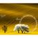 imageUrl_6
