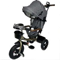 Triciclo Guiador 3 en 1 FORT PREMIUM USB Gris
