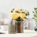 imageUrl_5