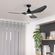 imageUrl_7