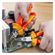 imageUrl_7
