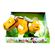 imageUrl_7