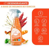 Sacagrasa Líquido HANQA Naranja y Mandarina Botella 500Ml