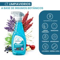Limpiavidrios HANQA Hierba Luisa Botella 500ml