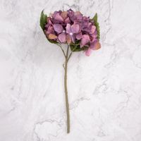 Pack de 2 Hortensias Morado Panorama Hogar