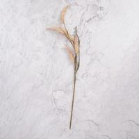 Follaje Artificial Beige Pack de 2 Panorama Hogar