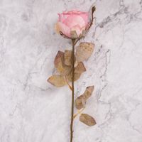 Rosa en Vara Rosa Pack de 2 Panorama Hogar