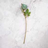 Pack de 2 Rosas en Vara Verde Panorama Hogar
