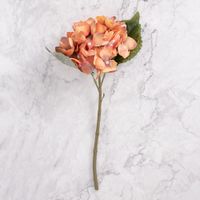 Pack de 2 Hortensias Naranja Panorama Hogar