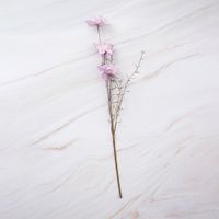 Rosas en Pack de 2 Morado Panorama Hogar
