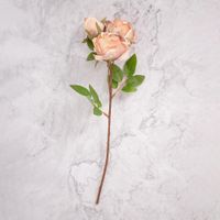Pack de 2 Rosas Marrón Panorama Hogar