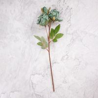 Pack de 2 Rosas Verde Panorama Hogar
