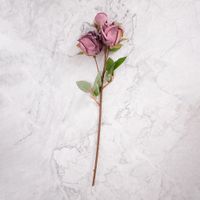 Pack de 2 Rosas Morado Panorama Hogar
