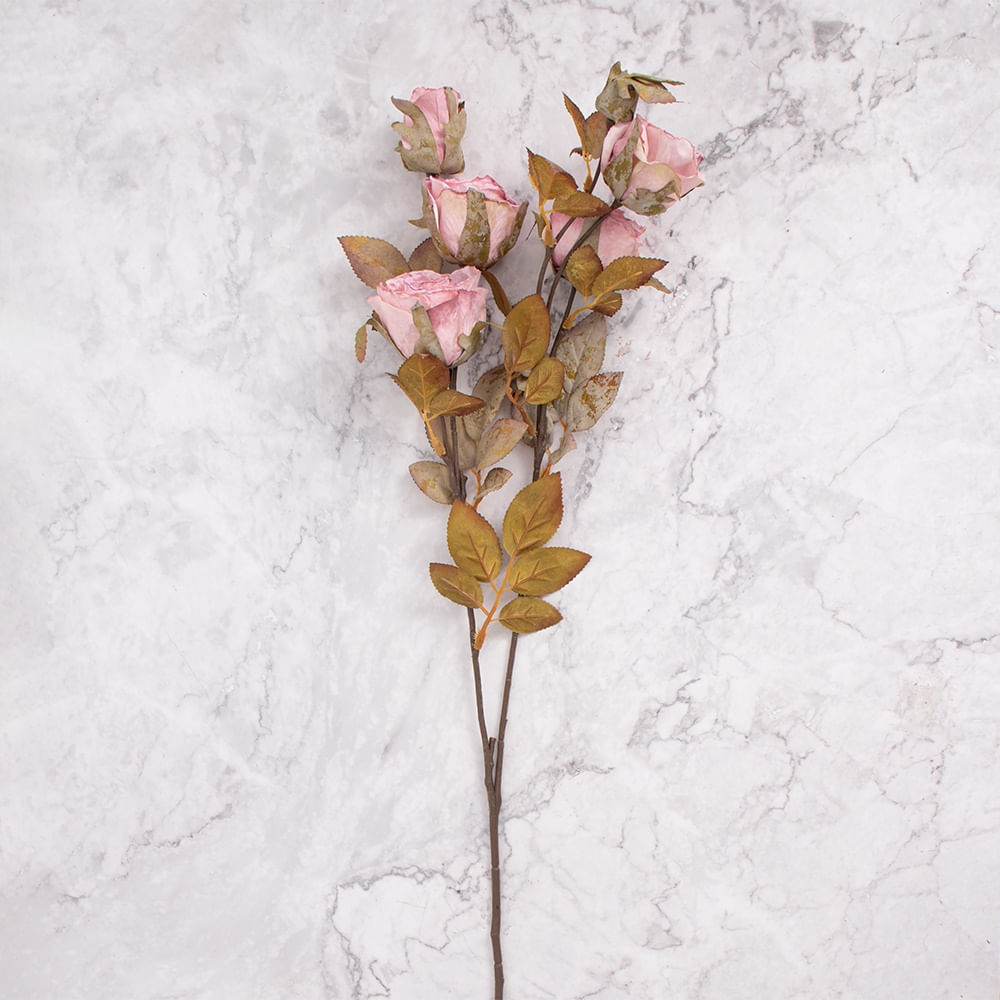 Rosa en Vara en Pack de 2 Rosa Panorama Hogar