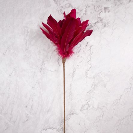 Pack de 2 Plumas Rojo Panorama Hogar