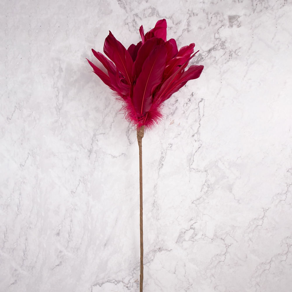 Pack de 2 Plumas Rojo Panorama Hogar