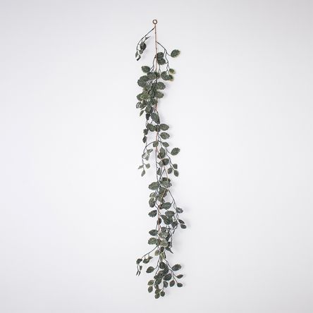 Pack de 2 Guías Colgante Verde Panorama Hogar Pack de 2 Guías Colgante Verde Panorama Hogar