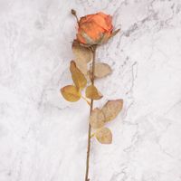 Pack de 2 Rosas en Vara Naranja Pack de 2 Panorama Hogar