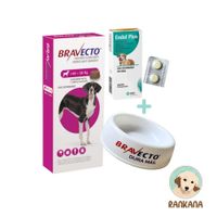 PACKAntipulgas Bravecto para Perros de 40 a 56 Kg  + 6  Tabletas* de Endal Plus + 1 Plato Bravecto
