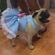 imageUrl_8