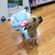 imageUrl_3