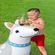 image-7cd144608e024de28a10835695d3504a