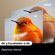 image-a4d7b293ea3a4b1182ecca85df96917b
