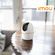 imageUrl_6