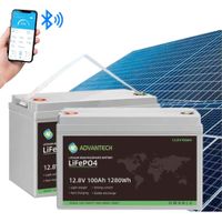 Batería Para Panel Solar Litio Lifepo4 12V 100Ah Con Bluetooth y BMS Incorporado