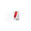 imageUrl_1