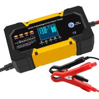Cargador deBatería para Carro Auto Camión de 12V 10A y 24V 5A Inteligente.