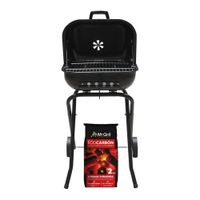 Parrilla Practica 300 + Eco Carbón Ecológico 2 kg
