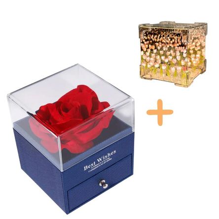 imageUrl_1 imageUrl_1