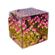 imageUrl_4