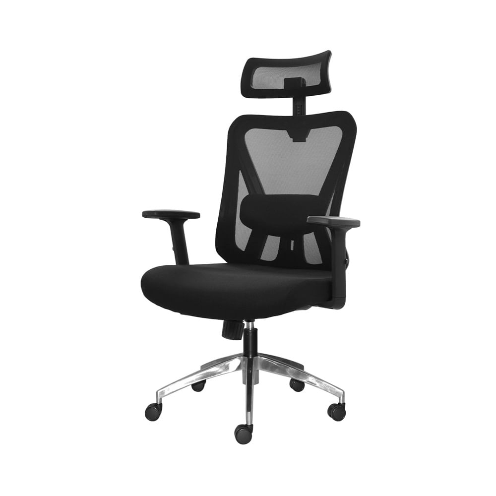 Silla Ergonómica Dolfin Presidente Reclinable Negro Aluminio Ofideas